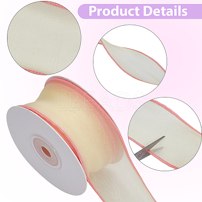 Organza Ribbons AJEW-CY0002-42C-1