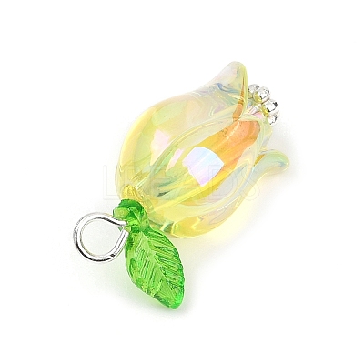 Acrylic Pendants PALLOY-JF03534-02-1