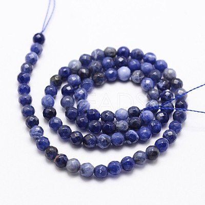 Natural Sodalite Beads Strands X-G-D840-19-4mm-1