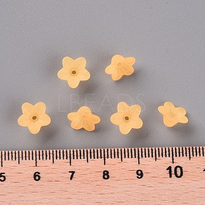 Transparent Acrylic Beads PL554-07-1