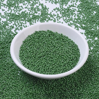 MIYUKI Round Rocailles Beads X-SEED-G007-RR0431-1