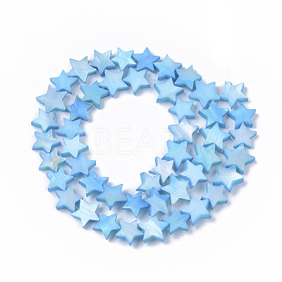 Freshwater Shell Beads Strands SHEL-T014-009B-1