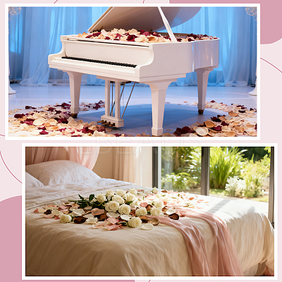 300Pcs Polyester Artificial Rose Flower Petals FIND-CN0002-43C-1