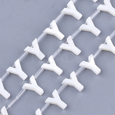 Freshwater Shell Beads X-SHEL-T012-59Y-1