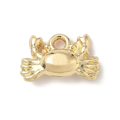 Alloy Charms LS-FIND-Z101-04G-04-1