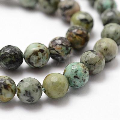 Natural African Turquoise(Jasper) Beads Strands G-D840-15-10mm-1