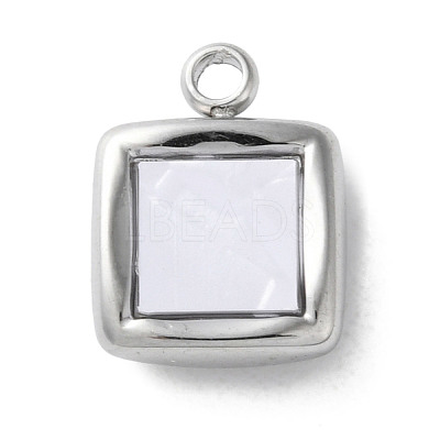 304 Stainless Steel Acrylic Pendants LS-STAS-M091-02D-P-1