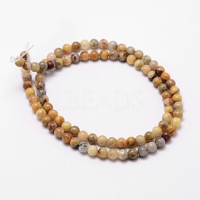Natural Crazy Lace Agate Beads Strands X-G-D840-70-4mm-1