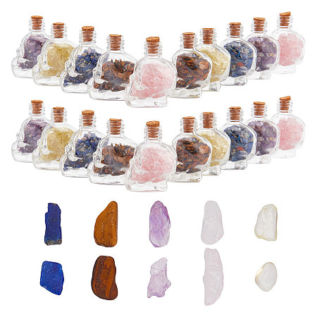 ARRICRAFT 10Pcs Mixed Gemstones Chips in Skull Glass Bottle Display Decorations DJEW-AR0001-08-1