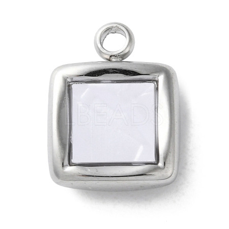 304 Stainless Steel Acrylic Pendants LS-STAS-M091-02D-P-1