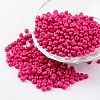 6/0 Baking Paint Glass Seed Beads X-SEED-S003-K5-1
