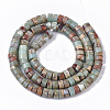 Natural Aqua Terra Jasper Beads Strands G-S366-012B-2