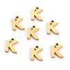 304 Stainless Steel Pendants STAS-F267-10K-G-1