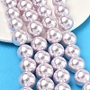 Electroplated Shell Pearl Beads Strands BSHE-G041-14mm-06-5