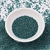 MIYUKI Delica Beads SEED-X0054-DB1769-2