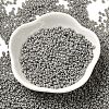 Baking Paint Glass Seed Beads SEED-P006-03A-28-2