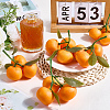 6Pcs Foam Simulated Orange Model AJEW-SP0003-61-4
