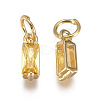 Brass Micro Pave Cubic Zirconia Charms ZIRC-F111-03G-01-2