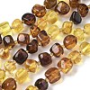 Natural Amber Beads Strands G-L095-E01-01-2