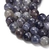 Natural Iolite Beads Strands X-G-G300-A04-8mm-4