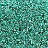 MIYUKI Delica Beads SEED-MY11-DB2505-2