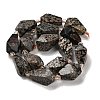 Natural Snowflake Obsidian Beads Strands G-NH0005-B03-01-3