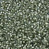 MIYUKI Delica Beads SEED-JP0008-DB2378-2