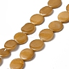 Spray Painted Natural Freshwater Shell Beads Strands SHEL-C003-05F-1