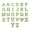 Alphabet Resin Rhinestone Patches DIY-TAC0005-45G-1