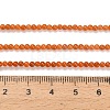 Natural Red Aventurine Beads Strands G-Z116-A24-2mm-5