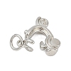 Brass Charms KK-S527-20P-2