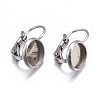Tarnish Resistant 304 Stainless Steel Leverback Earring Findings LS-STAS-H423-05P-3