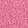 TOHO Round Seed Beads X-SEED-TR11-0191C-2