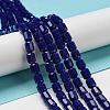 Opaque Glass Beads Strands GLAA-G112-03R-5