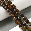 Natural Petrified Wood Beads Strands G-B078-D18-01-2