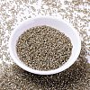 MIYUKI Delica Beads X-SEED-J020-DB1862-2