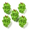 Fruit Opaque Resin Decoden Cabochons RESI-H156-01-01-1