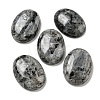 Natural Larvikite Cabochons G-C115-01B-40-1