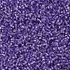 MIYUKI Delica Beads SEED-J020-DB1347-2