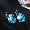 Oval Alloy Rhinestone Leverback Earrings FS-WG5DBAA-03-1