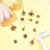 12Pcs 6 Styles Alloy Resin Pendants FIND-FS0004-05-7