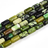 Natural Serpentine Beads Strands G-N346-01A-04-2