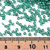 12/0 Grade A Round Glass Seed Beads X-SEED-N001-D-20/218-3