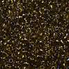 TOHO Round Seed Beads SEED-JPTR08-0281-2