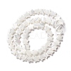 Natural Trochid Shell/Trochus Shell Beads SSHEL-O001-25B-02-1