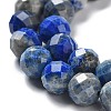 Natural Lapis Lazuli Beads Strands G-J400-E10-06-4