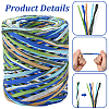 Segment Dyed Raffia Paper Cords for DIY Craft OCOR-WH20020-27B-3