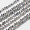 Natural Labradorite Round Bead Strands G-M263-A-03-1