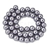 Eco-Friendly Dyed Glass Pearl Round Beads Strands HY-A002-10mm-RB028-5