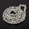 Natural Rainbow Moonstone Beads Strands G-A200-02-6